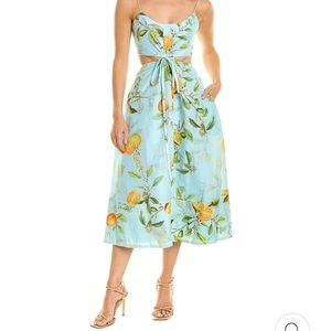 Monique Lhuillier Linen Blend Midi Dress - blue, lemon print